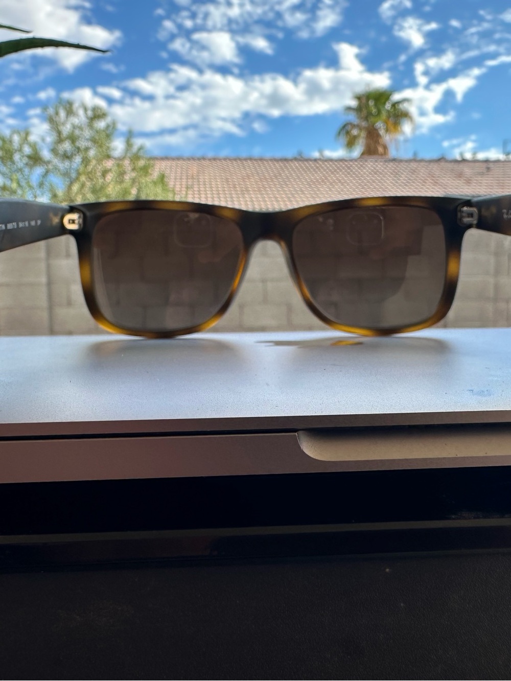 Ray-Ban Polarized Sunglasses in Dark Tortoiseshell and Black